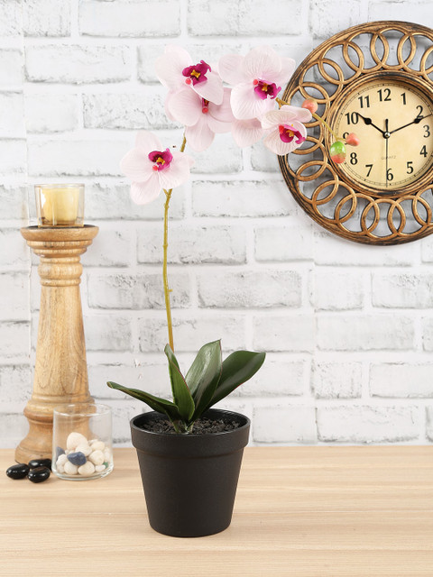 

NATURES HOME Pink Sustainable Orchid with Black Pot