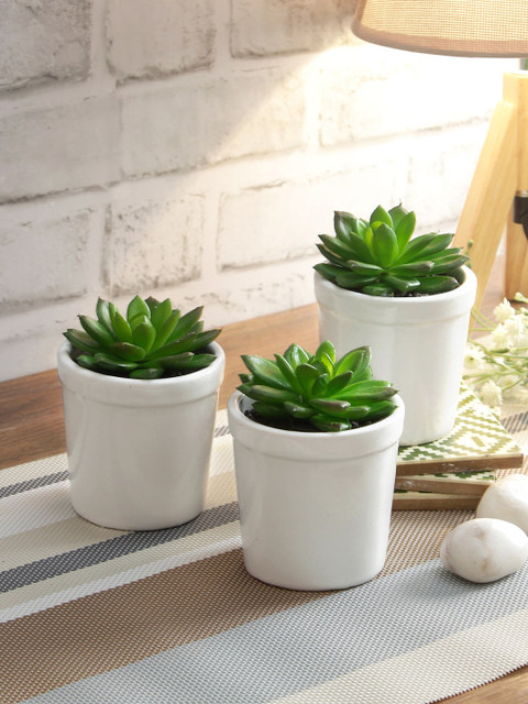 

NATURES HOME Set of 3 Green Artificial Succulent Plant with Pot