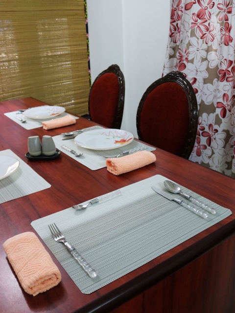 

Shresmo Set of 6 Grey Textured Table Placemats