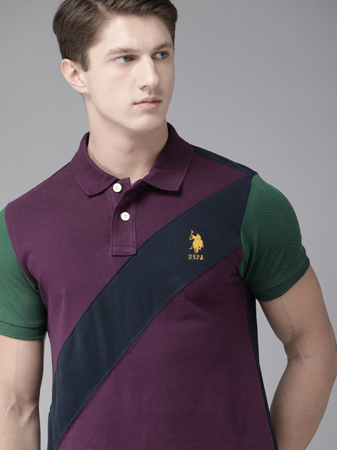 

U.S. Polo Assn. Men Purple Colourblocked Polo Collar T-shirt