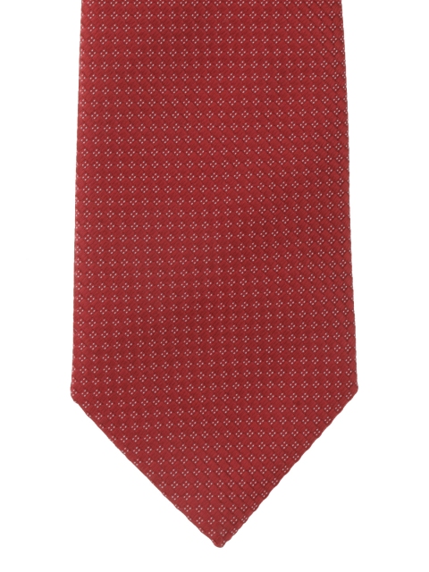 

Alvaro Castagnino Red Printed Tie