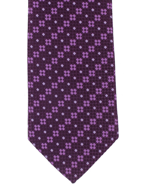 

Alvaro Castagnino Purple Checked Tie