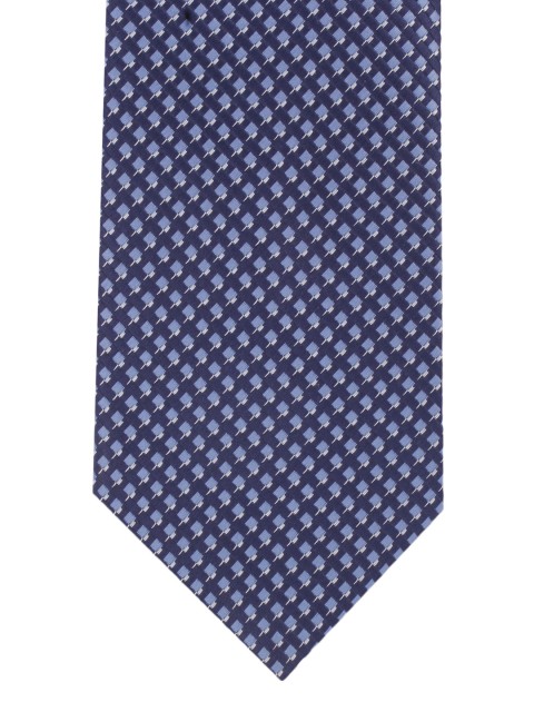 

Alvaro Castagnino Blue Tie