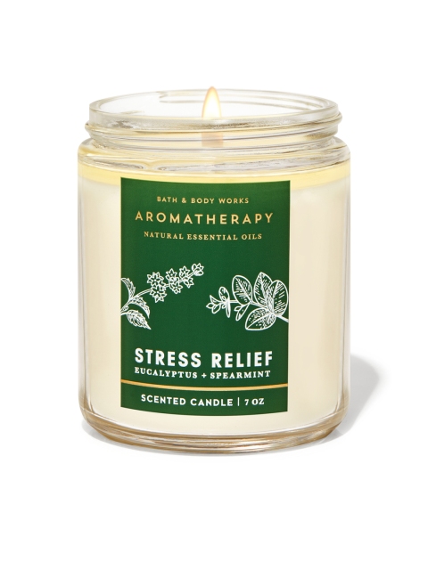 

Bath & Body Works Eucalyptus Spearmint Single Wick Candle, Green