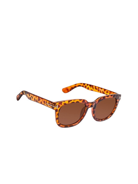 

Cardon Unisex Brown Lens & Brown Wayfarer Sunglasses with