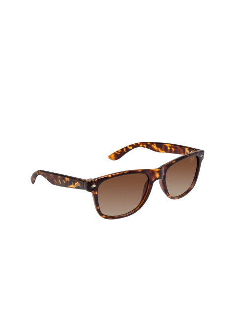 

Cardon Unisex Brown Polarised & UV Protected Wayfarer SI-SGCD375