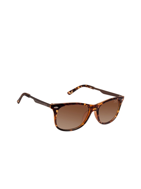 

Cardon Unisex Brown Lens Wayfarer Sunglasses with Polarised & UV Protected Lens NI-SGCD383