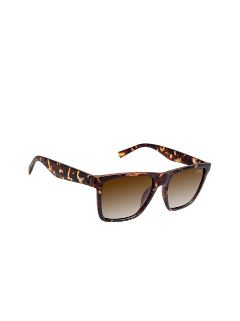 

Cardon Unisex Brown Lens & Brown Wayfarer Sunglasses NI-SGCD422-Tortoise