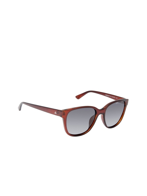 

David Blake Unisex Grey Lens & Brown Wayfarer Sunglasses PP_SGDB2052