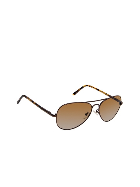 

David Blake Unisex Brown Aviator Sunglasses PP_SGDB1446