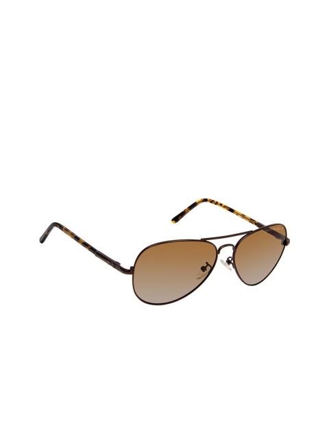 

David Blake Unisex Brown Polarised & UV Protected Aviator Sunglasses SPP_SGDB1446