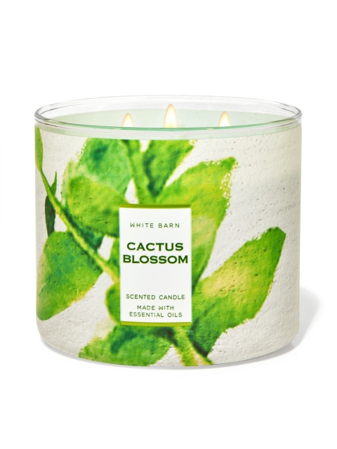 

Bath & Body Works Cactus Blossom 3-Wick Candle 411 g, White