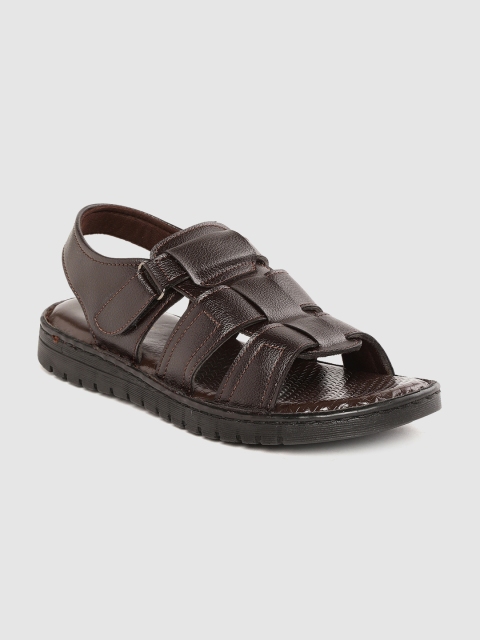 

Roadster Men Brown Solid Comfort Sandals