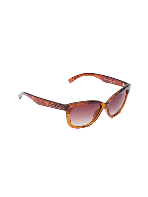 

SWISS MILITARY Women Brown Wayfarer Sunglasses SMS2