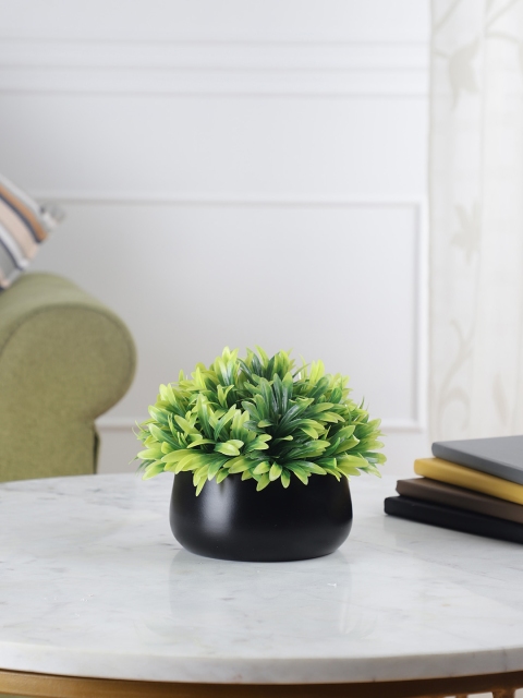 

FOLIYAJ Black Solid Matt Finish Planter
