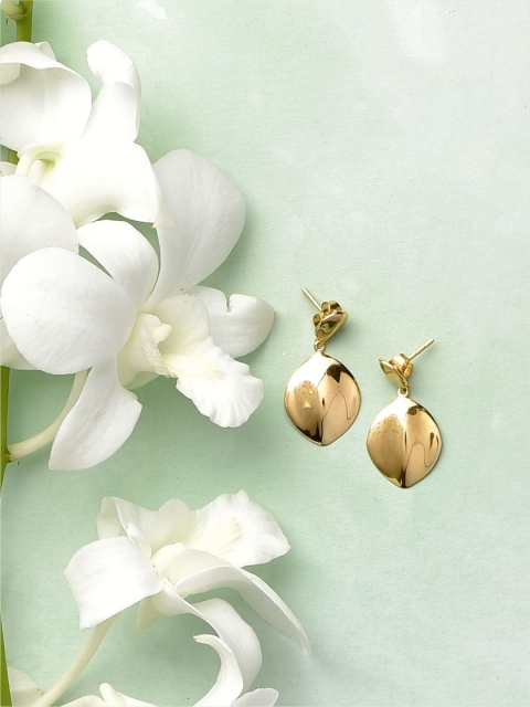 

Amaltaas Gold-Toned Contemporary Drop Earrings