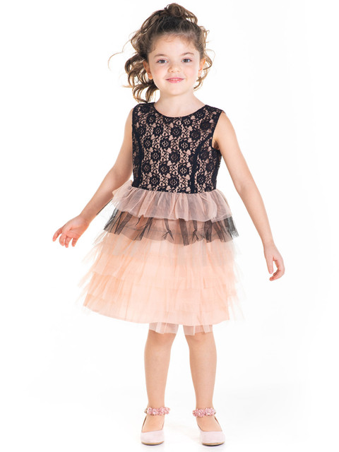 

Cherry Crumble Peach-Coloured Net Dress