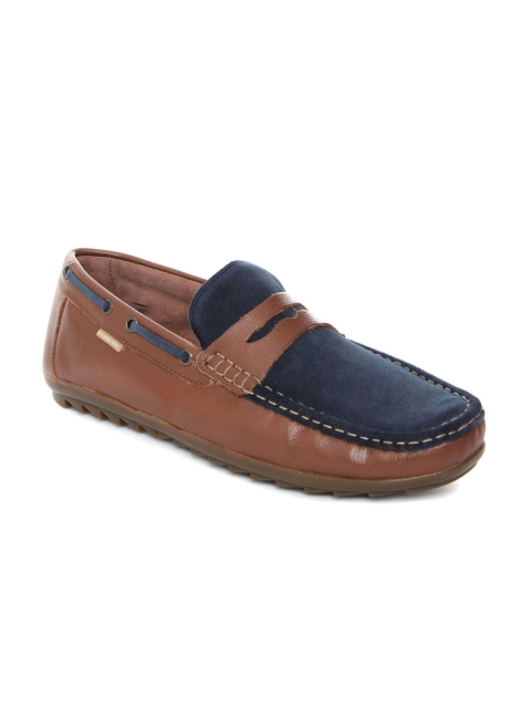 

U.S. Polo Assn. Men Brown Sean Colourblocked Loafers