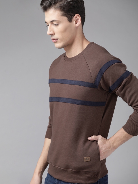 

Roadster Men Brown & Navy Blue Striped Detail Sweatshirt