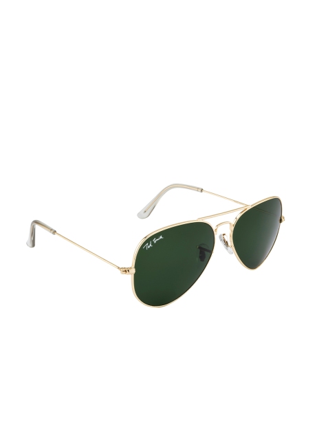 

Ted Smith Unisex Green Lens & Gold-Toned Aviator Sunglasses - AVIMAST_C14