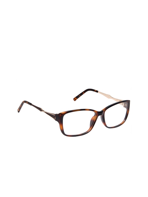 

David Blake Unisex Brown Tortoise Shell Full Rim Rectangle Frames NP_EWDB2355