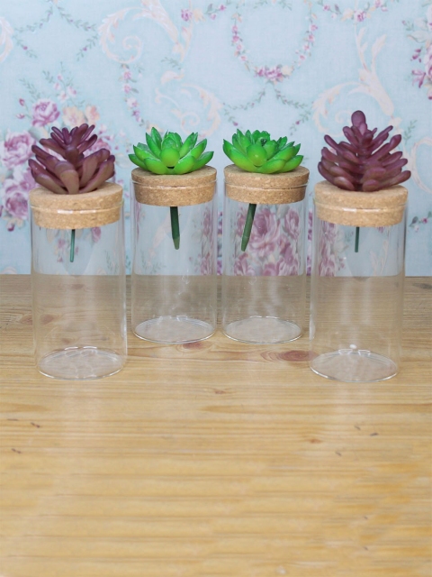 

Wonderland Set Of 4 Transparent & Brown Glass Hydroponic Planters