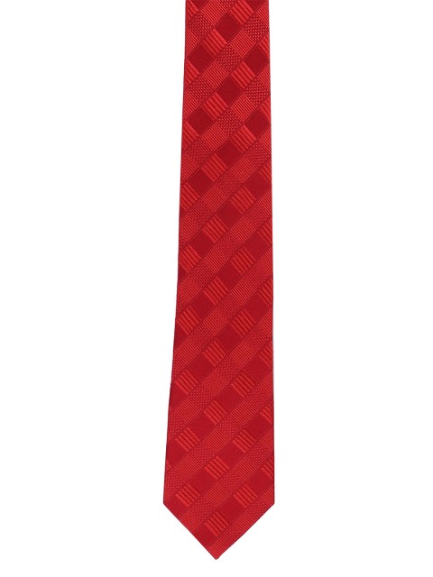 

Alvaro Castagnino Men Red Woven Design Broad Tie