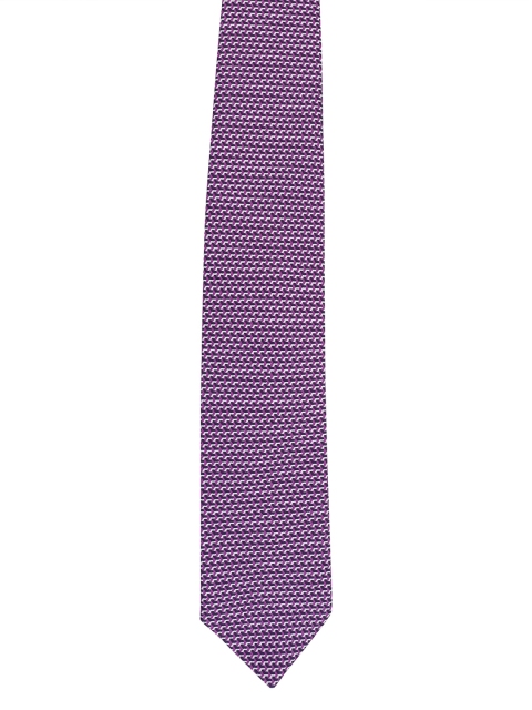 

Alvaro Castagnino Men Purple & White Woven Design Broad Tie