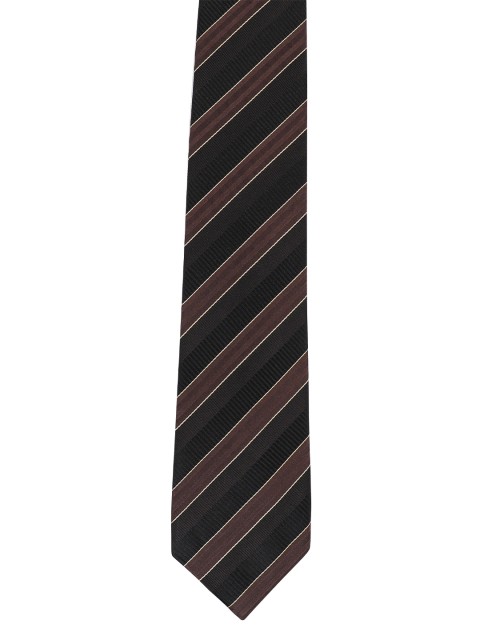 

Alvaro Castagnino Men Brown & Black Striped Broad Tie