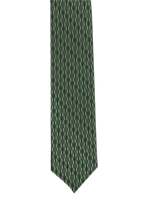 

Alvaro Castagnino Men Green Woven Design Broad Tie