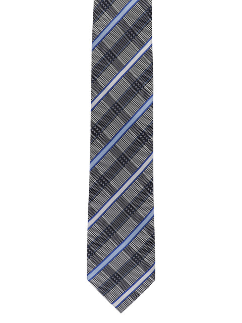 

Alvaro Castagnino Men Grey & Blue Woven Design Broad Tie