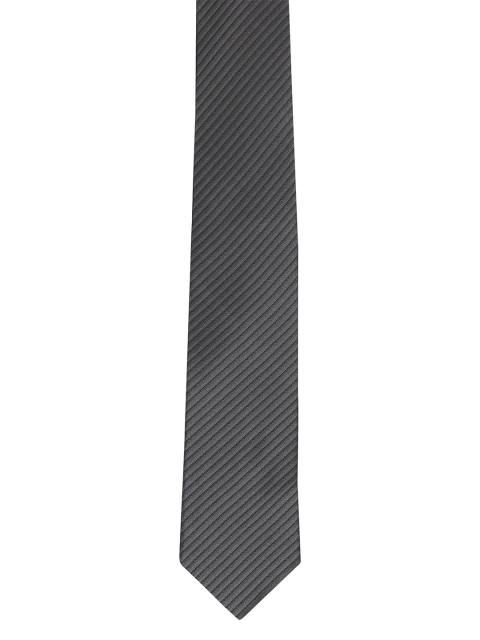 

Alvaro Castagnino Men Grey Striped Broad Tie