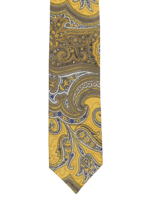 

Alvaro Castagnino Men Yellow & Blue Printed Broad Tie