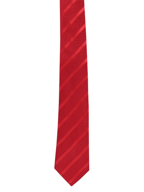 

Alvaro Castagnino Men Red Striped Broad Tie