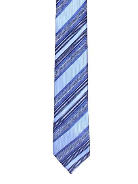 

Tossido Men Blue Striped Skinny Tie