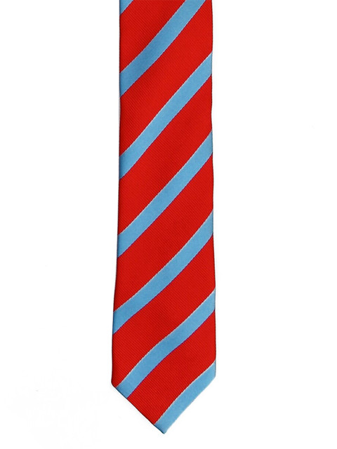

Tossido Men Red & Blue Striped Skinny Tie