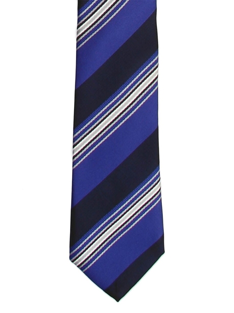 

Tossido Men Blue & White Striped Skinny Tie