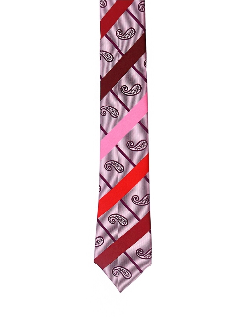 

Tossido Men Pink & Red Printed Skinny Tie