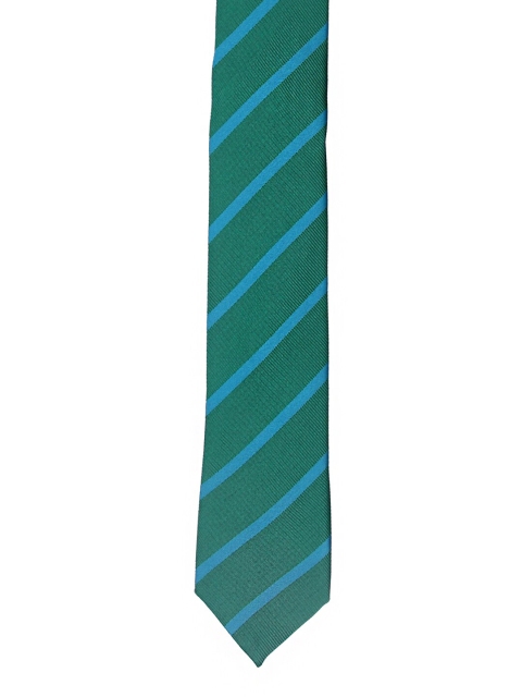 

Tossido Men Green & Blue Striped Skinny Tie