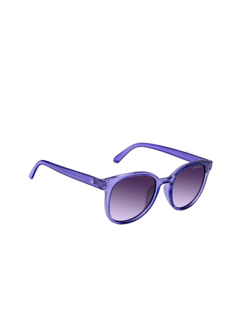 

David Blake Unisex Purple Lens & Purple Oversized Sunglasses M-SGDB2059