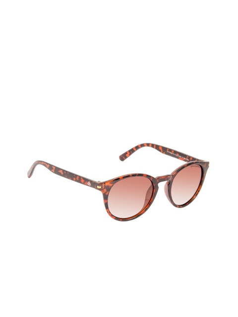 

David Blake Unisex Brown Lens & Gold-Toned Round Sunglasses with Polarised and UV Protected Lens