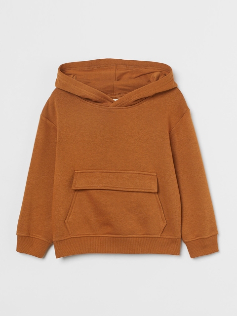 

H&M Boys Brown Solid Hooded Top