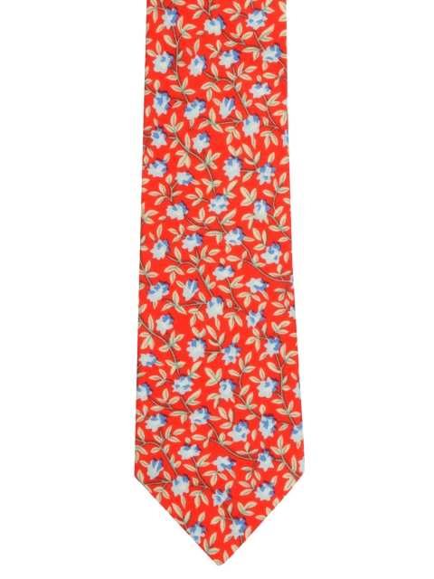 

Alvaro Castagnino Men Red & Multicoloured Printed Broad Tie
