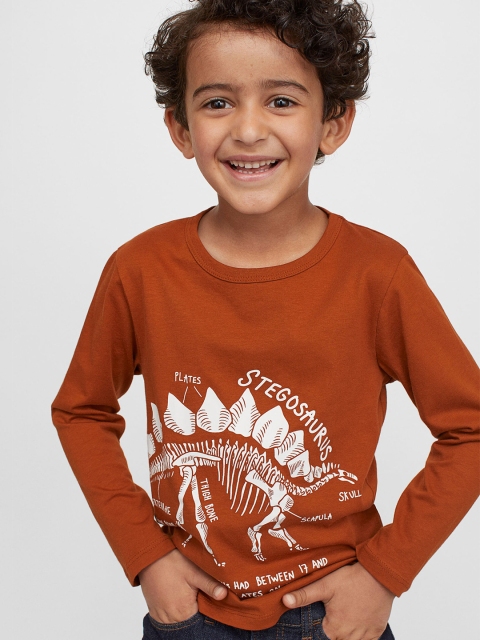 

H&M Boys Brown Jersey Top