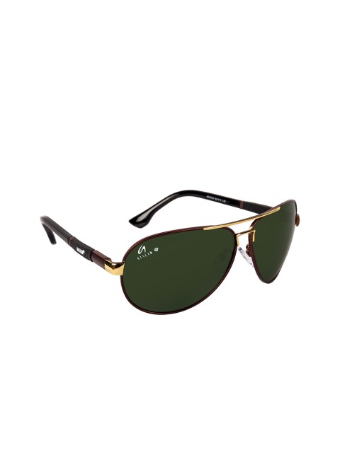 

AISLIN Men Green Lens & Gold-Toned Aviator Sunglasses with UV Protected Lens