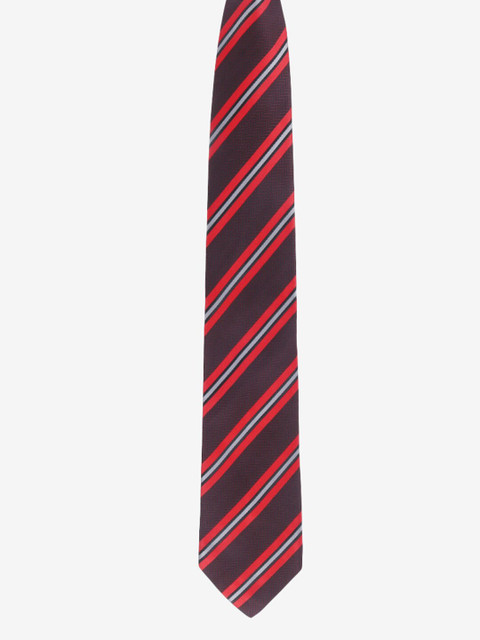 

Alvaro Castagnino Men Brown Striped