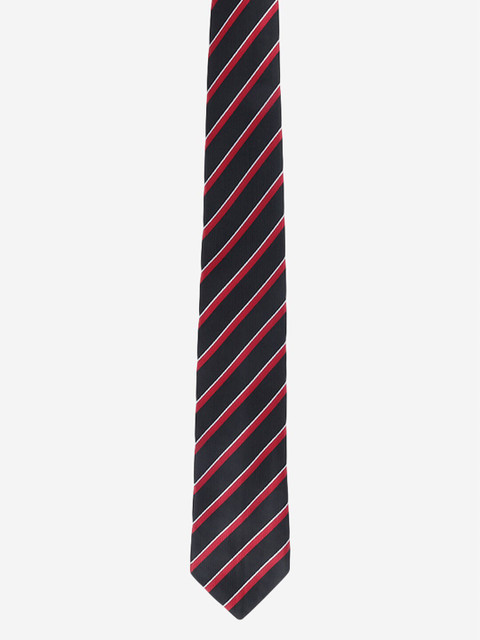 

Alvaro Castagnino Men Black Striped