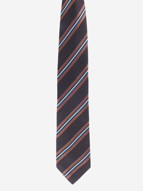 

Alvaro Castagnino Men Brown Striped