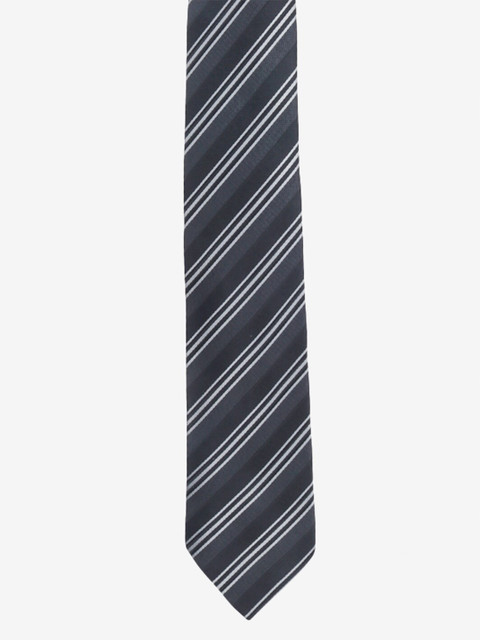 

Alvaro Castagnino Men Grey Striped