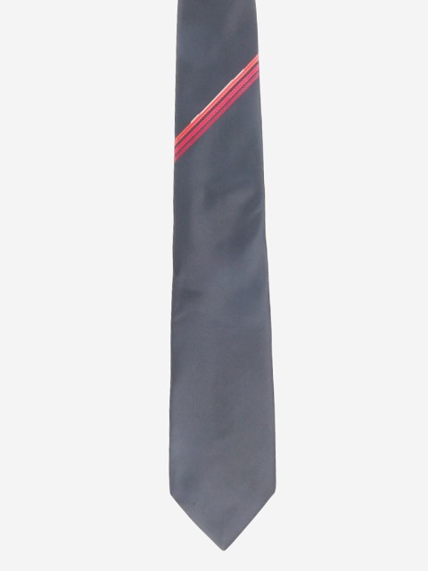 

Alvaro Castagnino Men Grey Printed
